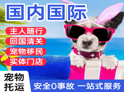 黑河机场托运国际宠物托运 【国